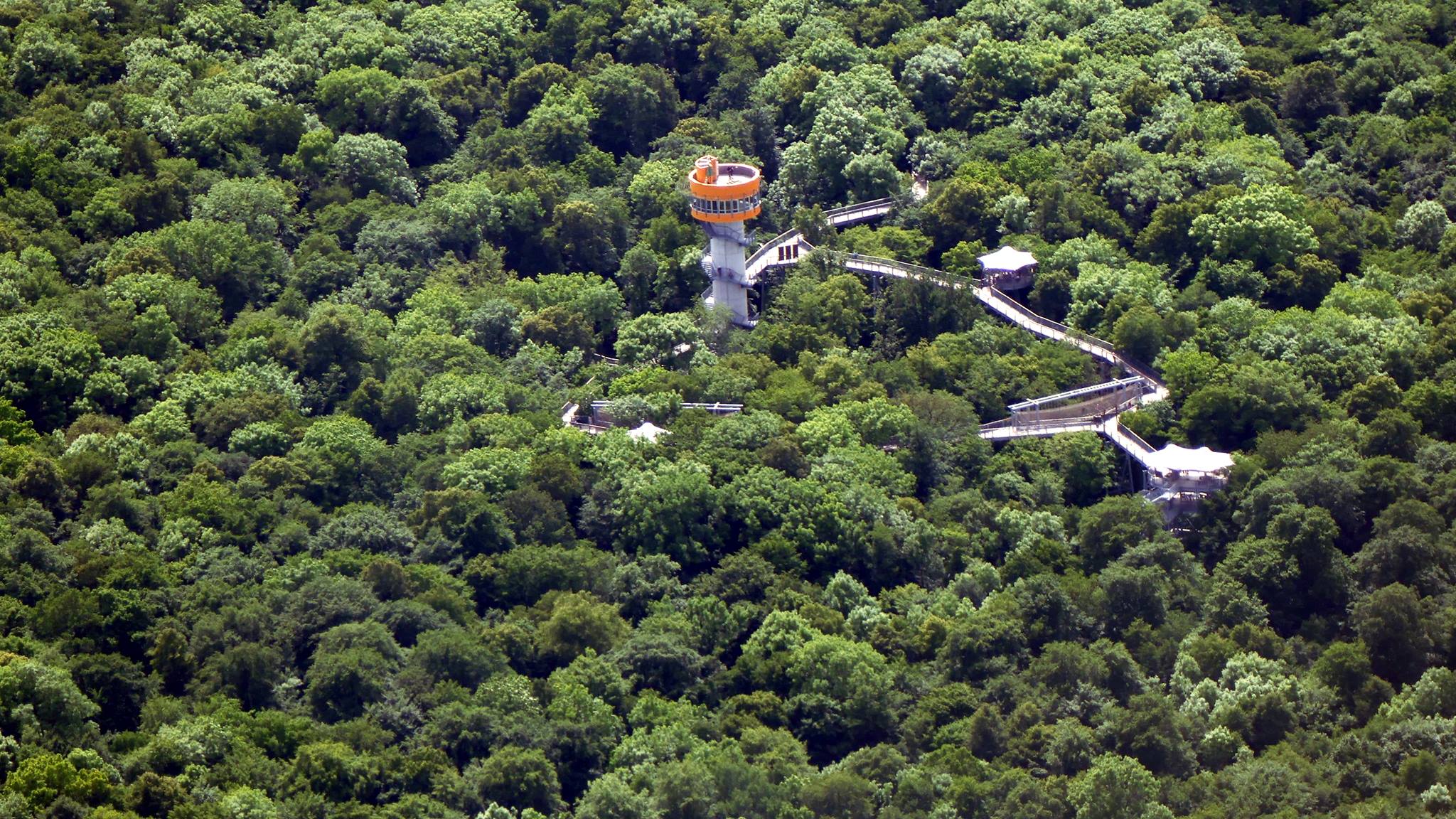 Baumkronenpfad im Nationalpark Hainich aus der Luft